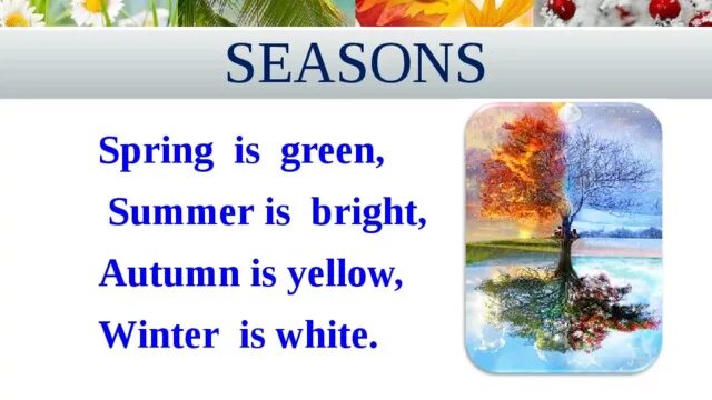 Spring is than winter. Spring is Green стихотворение. Стих Spring is Green Summer is Bright autumn is Yellow Winter is White. Summer времена года на английском. Стих на английском про времена года.