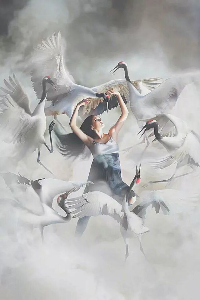 превратится в птицу. вороны кружат. превращение человека в птицу. девушка и вороны. мисс перегрин птица.