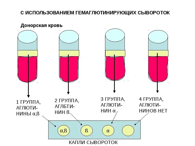 Какого цвета пробирка для определения группы крови. Группа крови и резус-фактор. Резус крови. Группы крови и резус-фактор таблица.