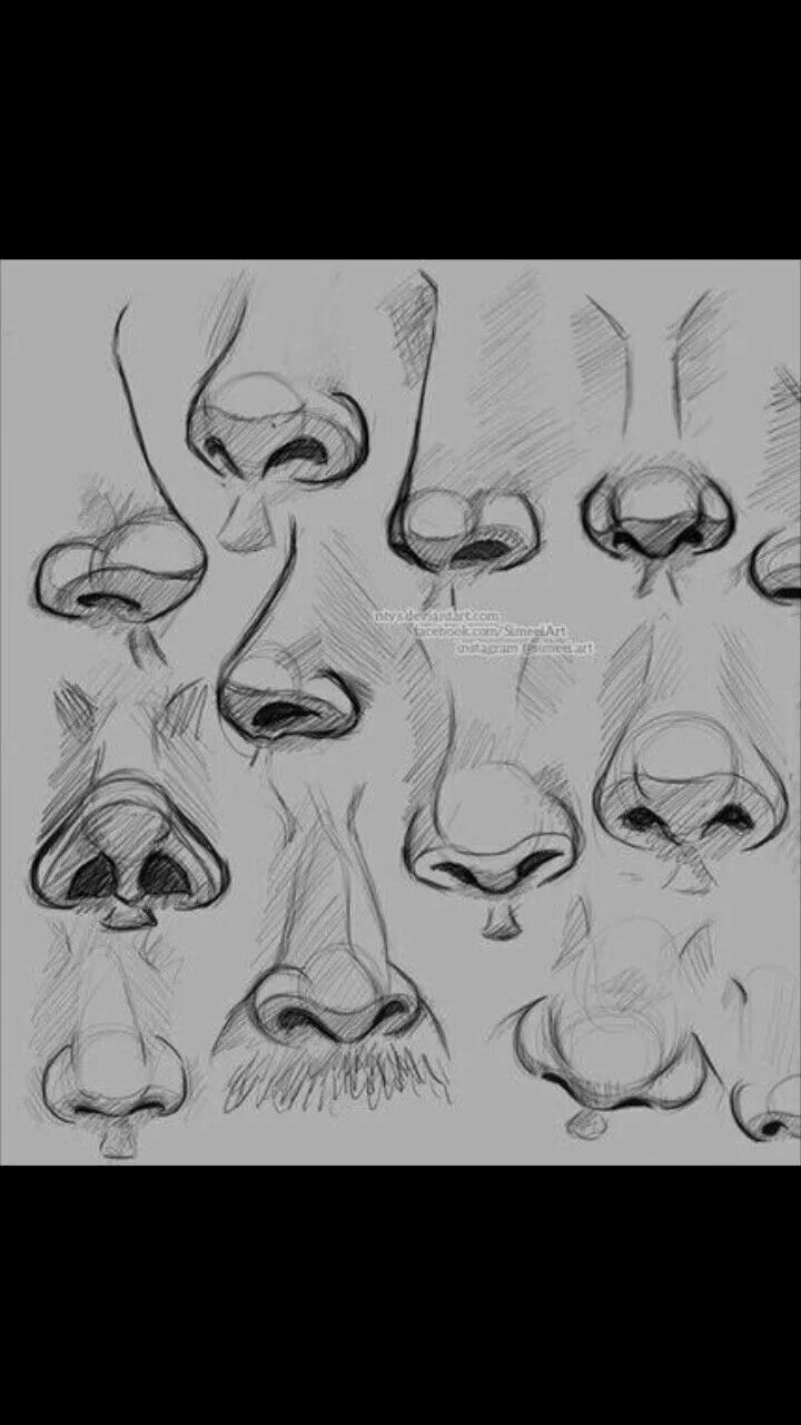 Нос ракурсы. Анатомия носа для рисования. Референсы носа для рисования. Стилизация носа.