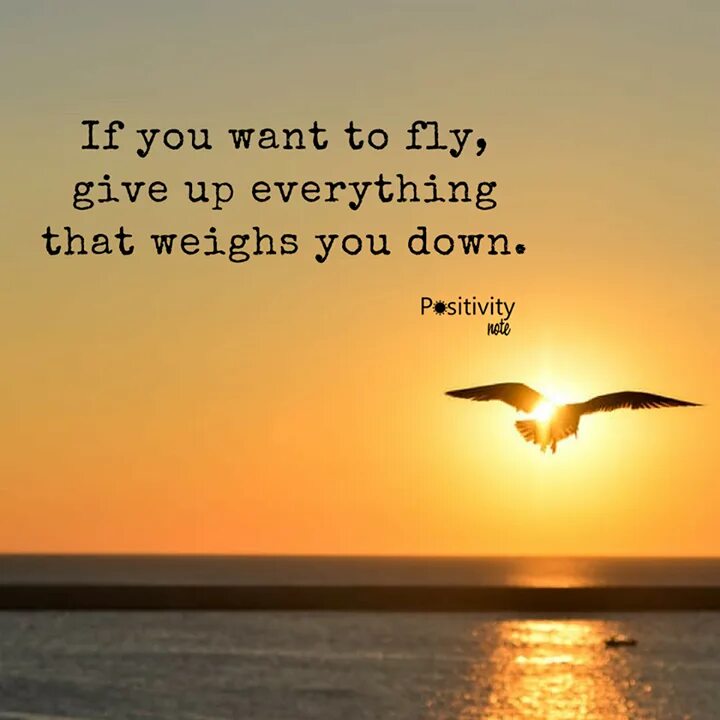 Given to fly. Цитаты про полет. want to fly. when you want to fly. imagine that you fly.