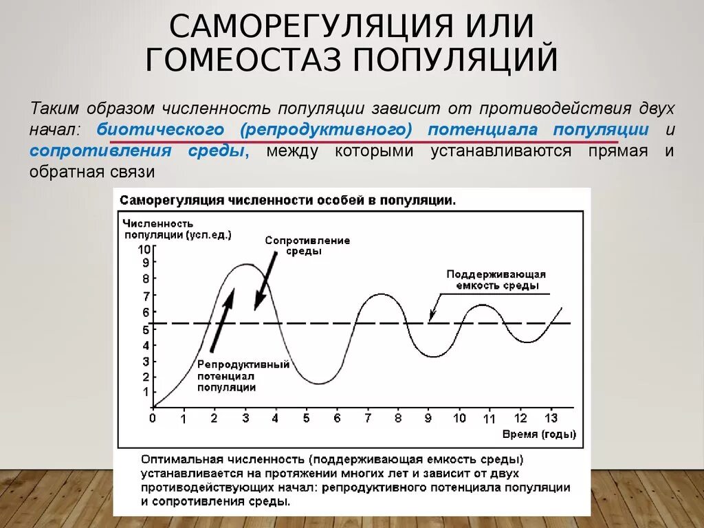 Саморегуляция взаимодействие. Схема регуляции численности популяции. Схема саморегуляции численности популяции. Механизмы саморегуляции популяции. Саморегуляция численности популяций.