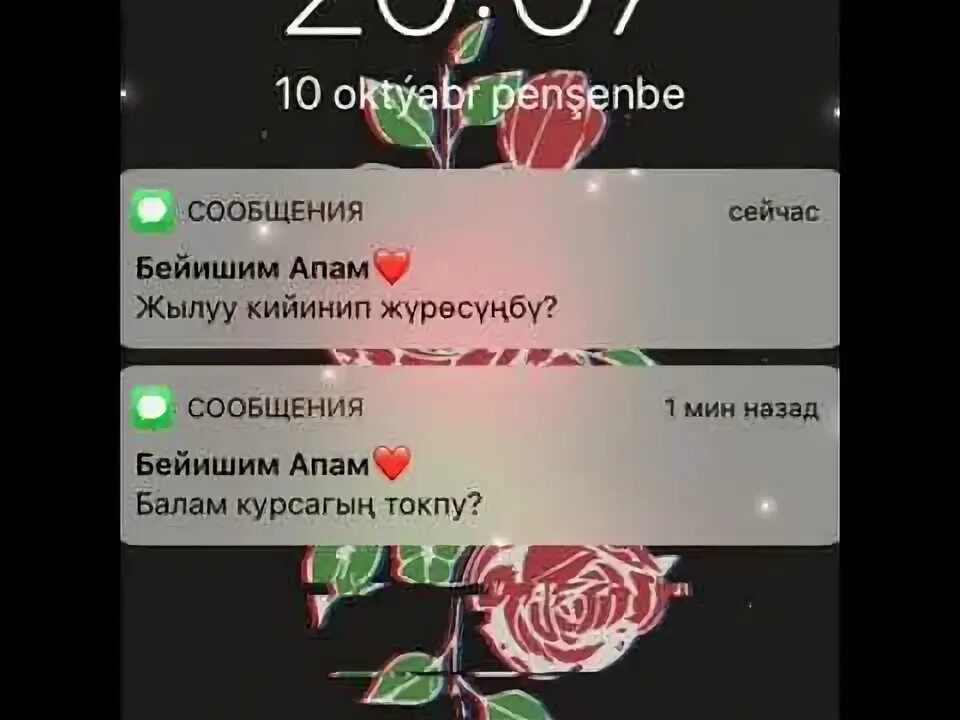 Чаще апам дерево. Бейишим апам. бейишим апакем. апам менин бейишим. бейишим апам фото.