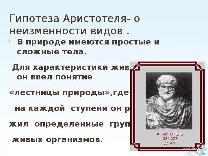 Гипотеза аристотеля. Аристотель презентация по биологии.