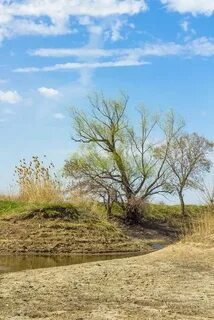 Погода село лебяжье волгоградская область