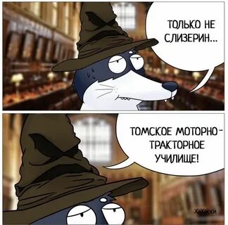 Гонки за лайками распределяющая шляпа
