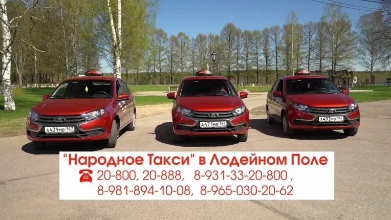Такси лодейное поле. Такси мастер лодейное поле расписание. Такси лодейное поле. Такси лодейное поле номер телефона. Такси лодейное поле номер.