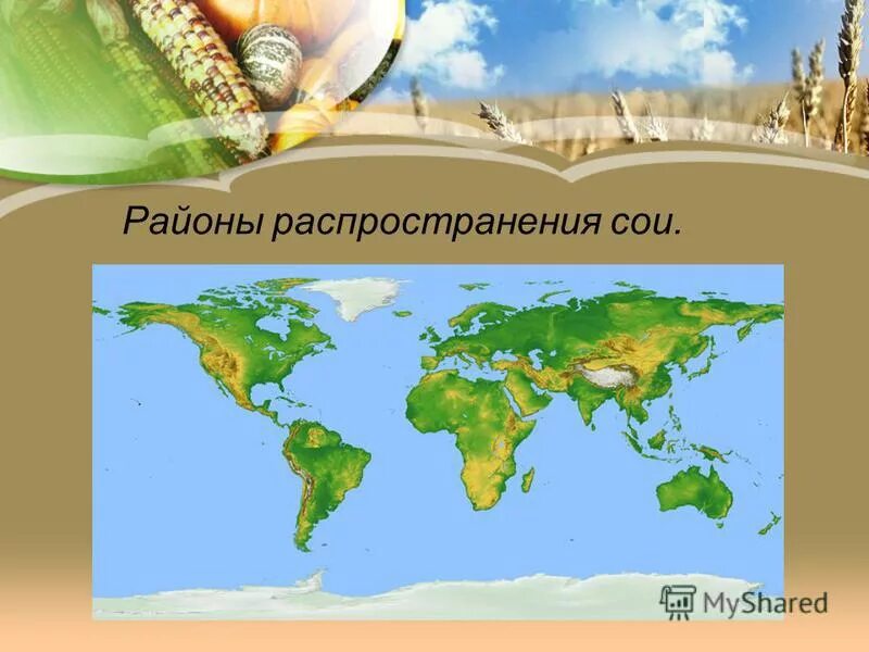 Соя география распространения. История происхожденияобовых. Страны производители сои. Соя ареал распространения. Крупнейшие производители сои в мире.