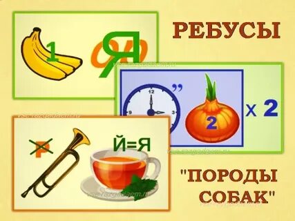 Ребус собака
