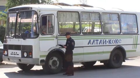 Автобус заринск