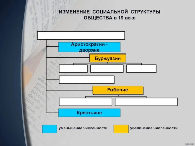 Социальные изменения в 20 веке. Социальная структура общества 19 века. Социальная структура общества в начале и в конце 19 века. Классовая структура общества 19 века. Социальная структура общества России 19 века.