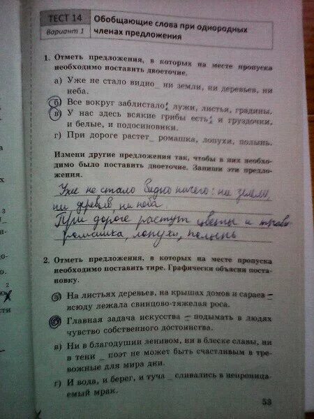 Русский язык 8 класс тесты книгина. Тесты по русскому языку 8 класс книгина 2 часть.