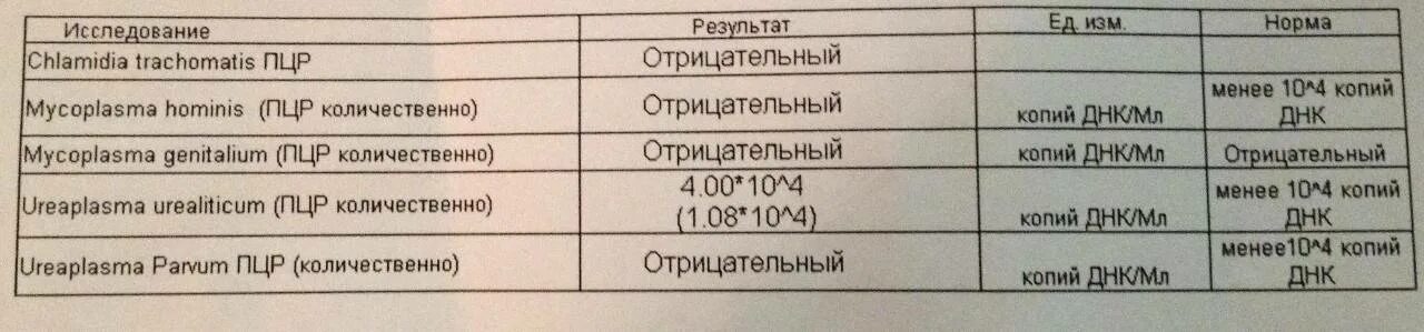 Уреаплазма виды. Этиология уреаплазмоза. Микоплазма urealyticum уреаплазмоз. Уреаплазма виды. Уреаплазма виды.
