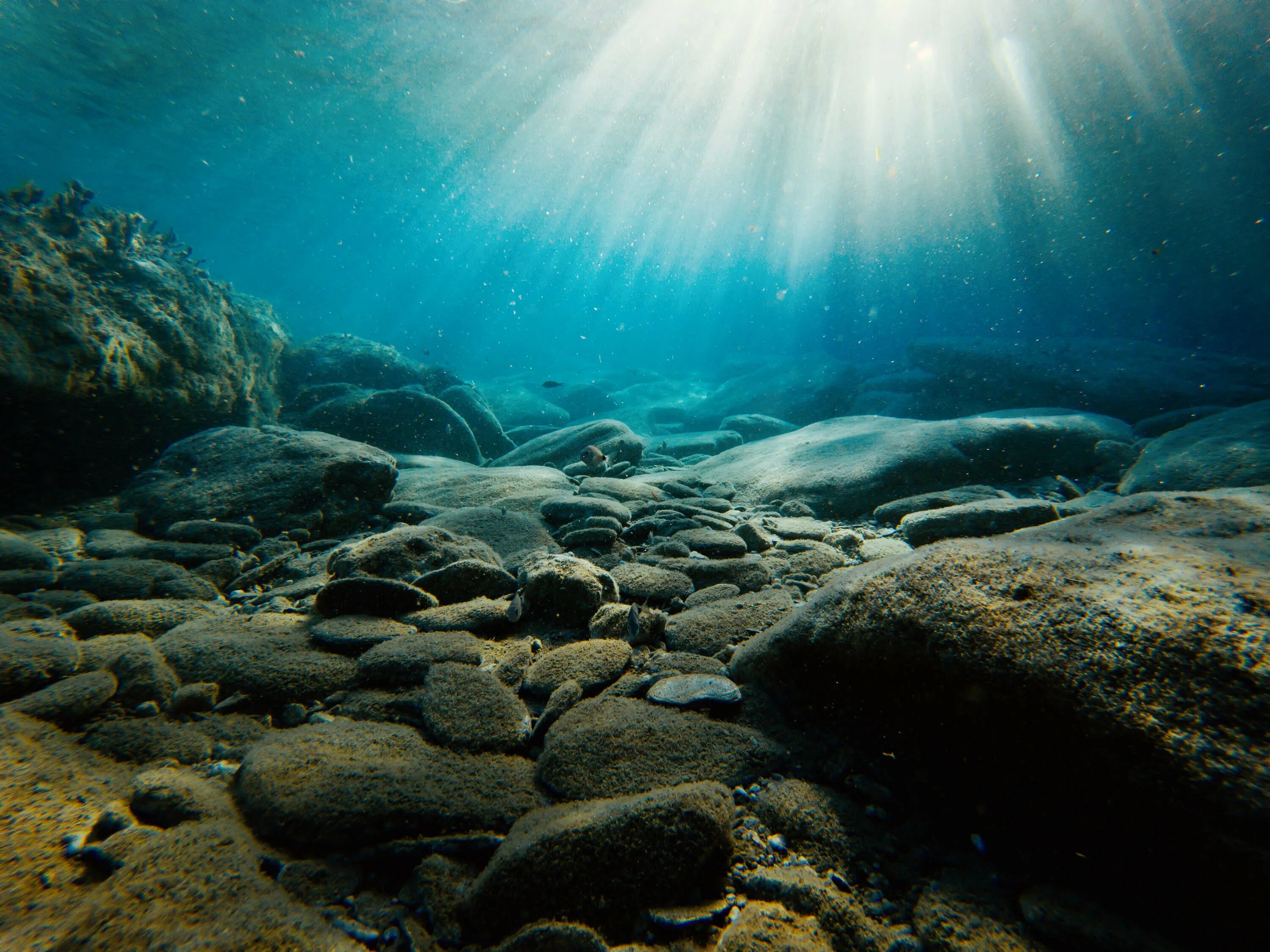 5 подводных камней. Дно океана. Подводные пейзажи. Морское дно. Морские глубины.