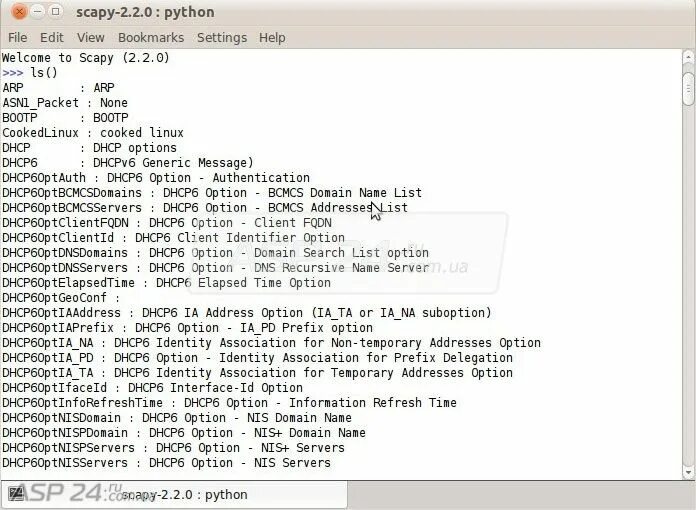 Scapy. Scapy Python. Options 6. Получить структуру DNS пакета Scapy Python.