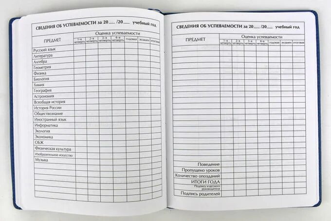 Школьный журнал. Школьный дневник. Журнал для школы. Ученический дневник.