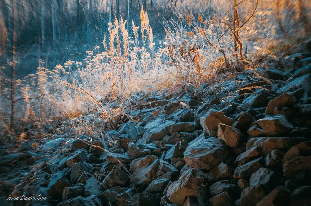 Ядреный морозец ударивший ночью сразу все преобразил. Ядреный морозец ударивший ночью сразу все преобразил. Ядреный морозец ударивший ночью сразу все преобразил. Первые заморозки на реке. Мороз словарь.
