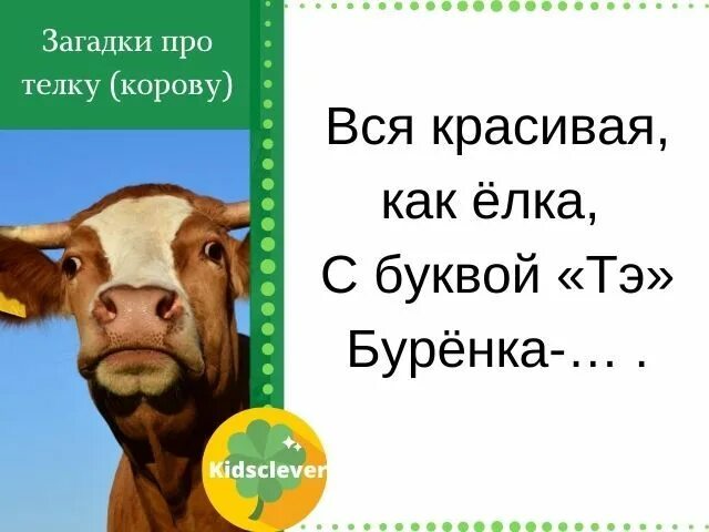 Загадка про корову. Загадка про корову для дошкольников. Загадка про корову 1 класс. Загадка про буренку. Что пьет корова загадка