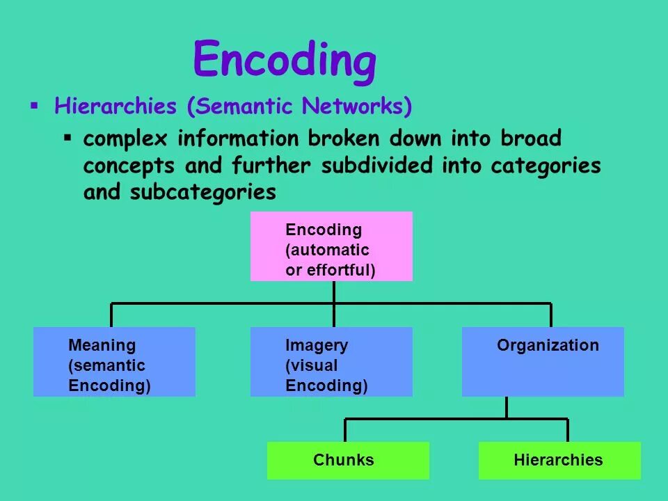 Encoding device. Энкодинг это. encoding information. information encoding methods. semantic encoding psychology.