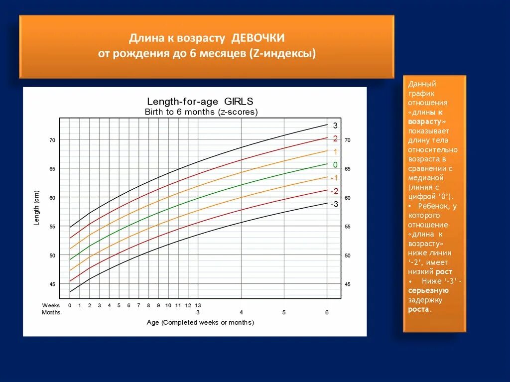 Отношение к возрасту. Возраст девочек график. Соотношение длины к возрасту. График длина к возрасту ребенка. График Возраст девушки.