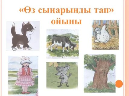 Мақта қыз
