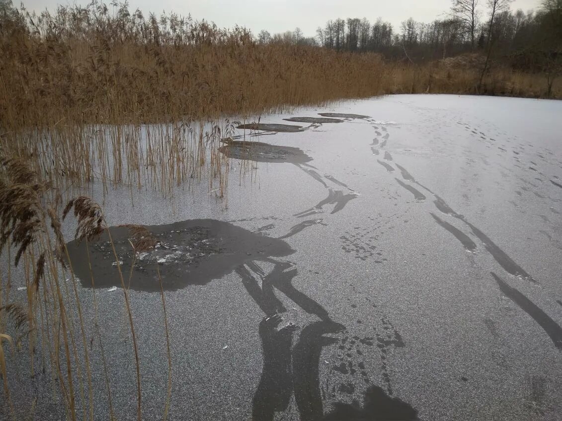 Рыбалка в молодечно. Рыбалка в молодечно