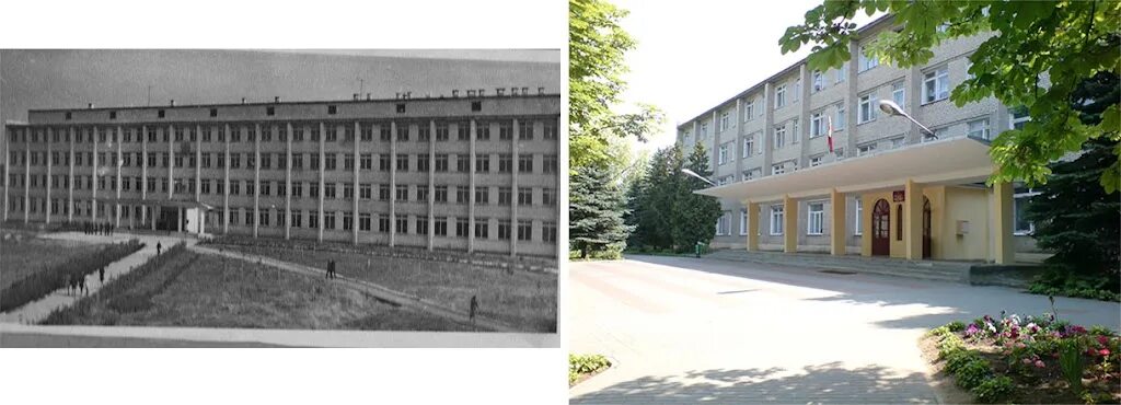 Калинковичи колледж. Калинковичский государственный колледж мелиорации. Старые фото техникума полесск. Аграрный колледж фрунзе. Гомельский государственный аграрно-экономический колледж.