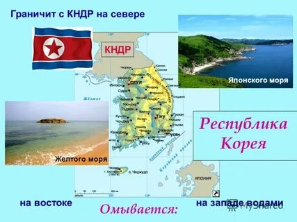 Какие берега омывает желтое море