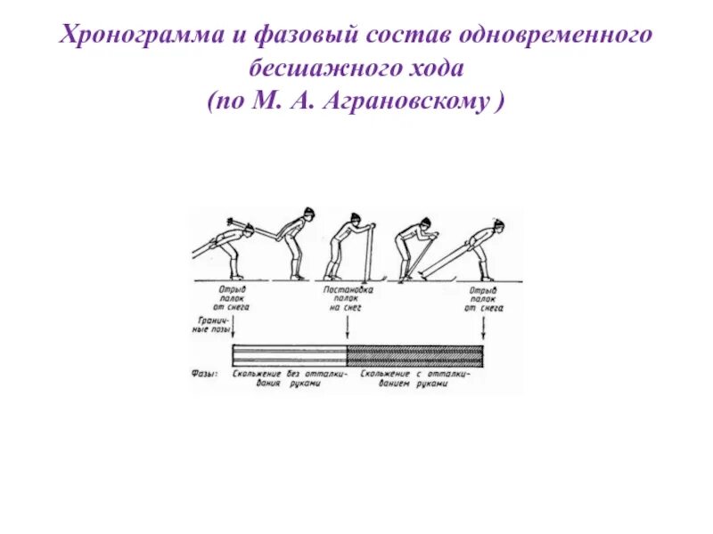 Квалификация ходов. Одновременный бесшажный ход фазы. Хронограмма и фазовый состав одновременного бесшажного хода. Одновременный бесшажный ход на лыжах. Хронограмма движения.