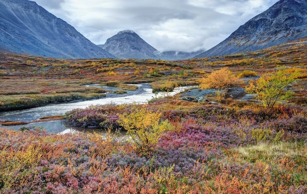 Ландшафт таймыра. Горы на полуострове таймыр. Полуостров таймыр. Полуостров таймыр природа. Полуостров таймыр талнах.
