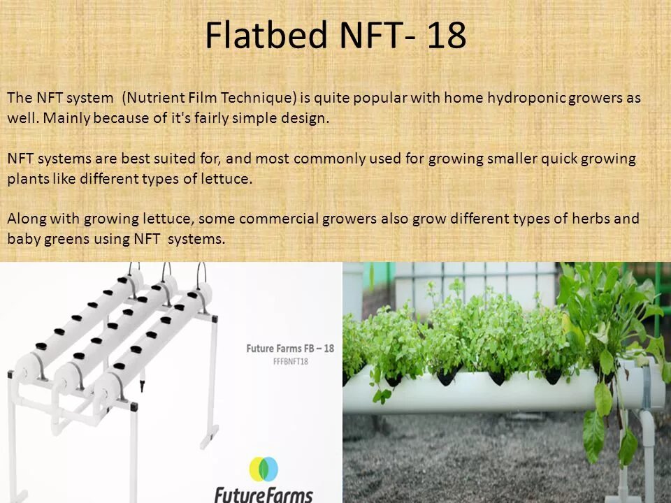 Что такое nft. NFT презентация. Популярные NFT. NFT проекты. Размер NFT.