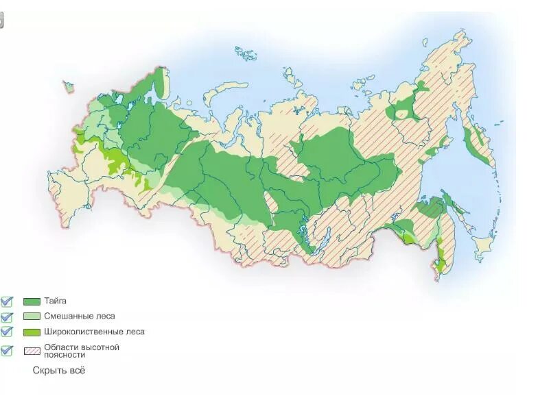 Зона смешанных и широколиственных лесов на карте России. Зона широколиственных лесов на карте России. Зоны тайги смешанных и широколиственных лесов на карте России. Широколиственные леса географическое положение в России на карте. Географическое положение смешанных в россии