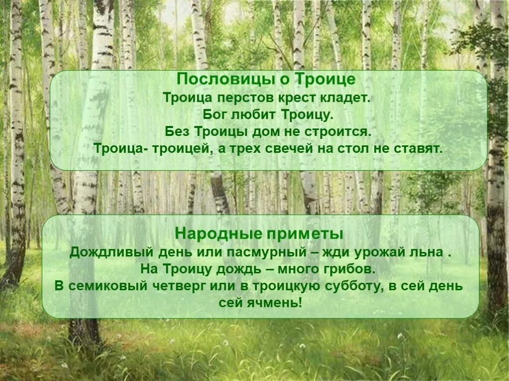 Если на троицу дождь и холодно. Приметы на троицу. Стих троица. Народные приметы на троицу. Праздник троица приметы.