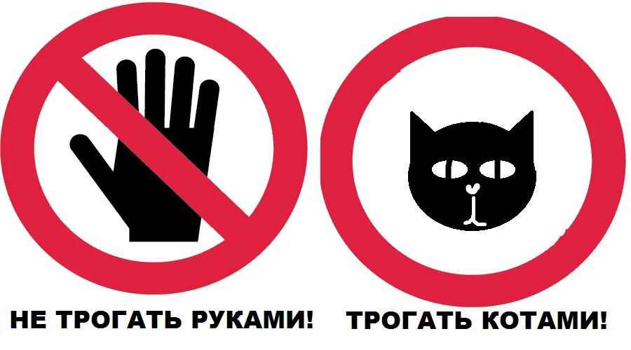 Можно лапать. Не трогать табличка. Руками не трогать. Руками трогать запрещено. Надпись не трогать.