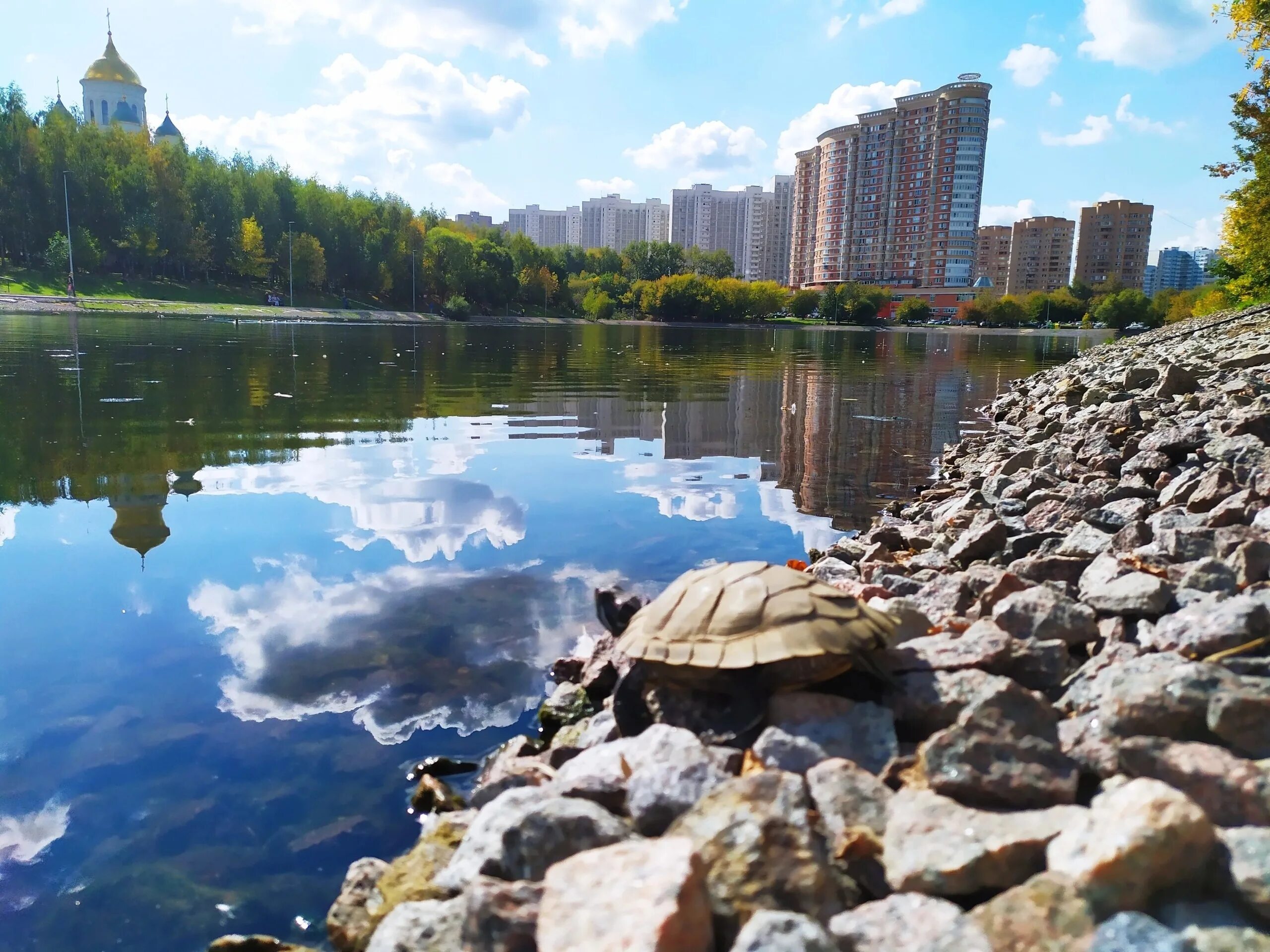 Солнцево, малый пруд. Пруд Солнцево парк. Большой Солнцевский пруд Москва. Солнцево Москва пруд. Погода в москве солнцево