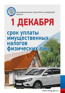Срок уплаты имущественных налогов юридическим лицом