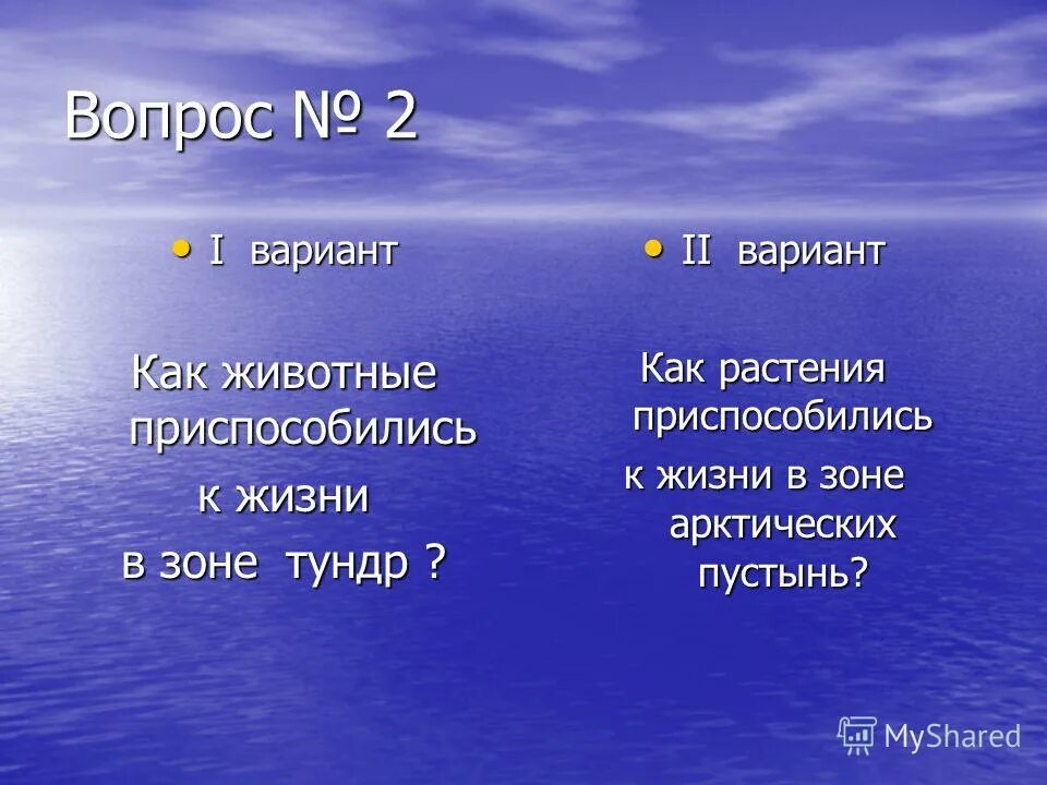 Зона арктических пустынь 4 класс окружающий мир. Природные зоны тест. Вопросы по арктике. Проверочная работа по арктической пустыне 4 класс. Кроссворд на тему артика.