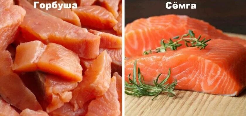 Как отличить семгу