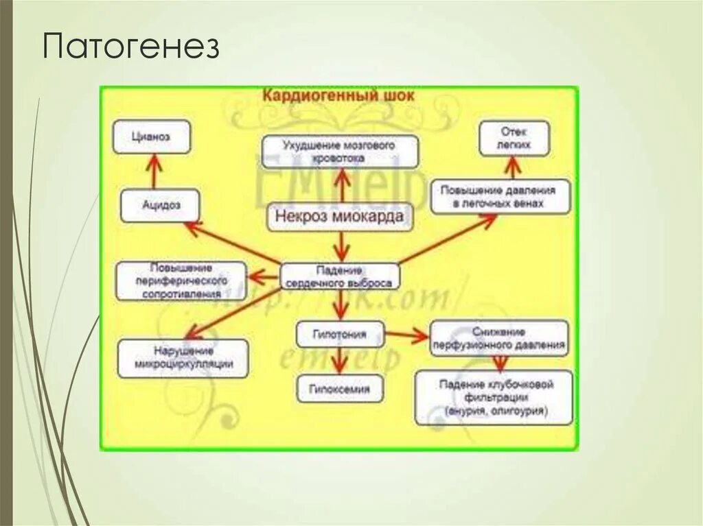 Карты шока. Кардиогенный ШОК патогенез схема. Патогенез кардиогенного шока при инфаркте. Механизм развития кардиогенного шока. Патогенез кардиогенного шока при инфаркте миокарда.