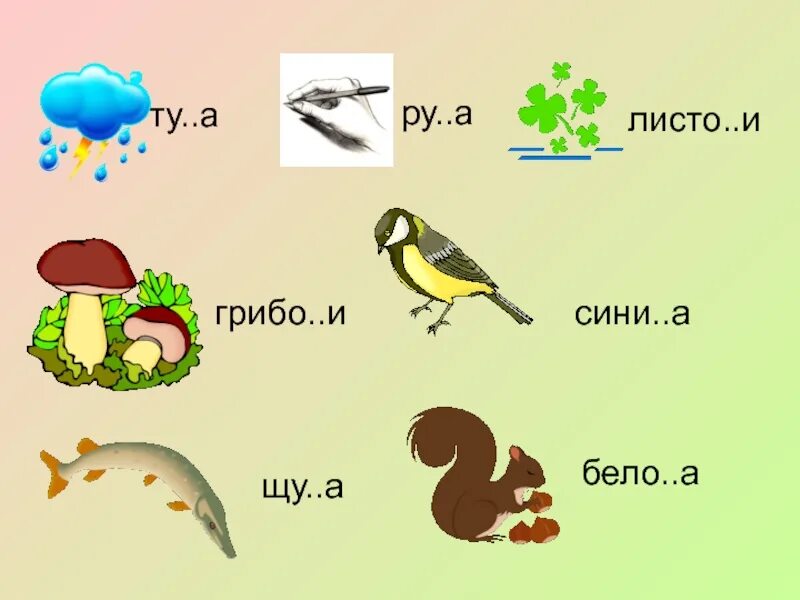 Чт рщ