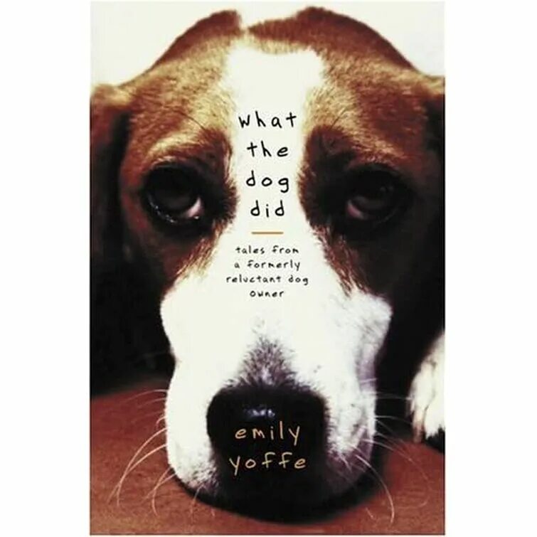 What a Dog do. What the Dog did book. What the Dog doing. What a Dog doing Мем.