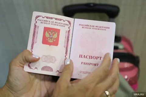Курган паспортный телефон