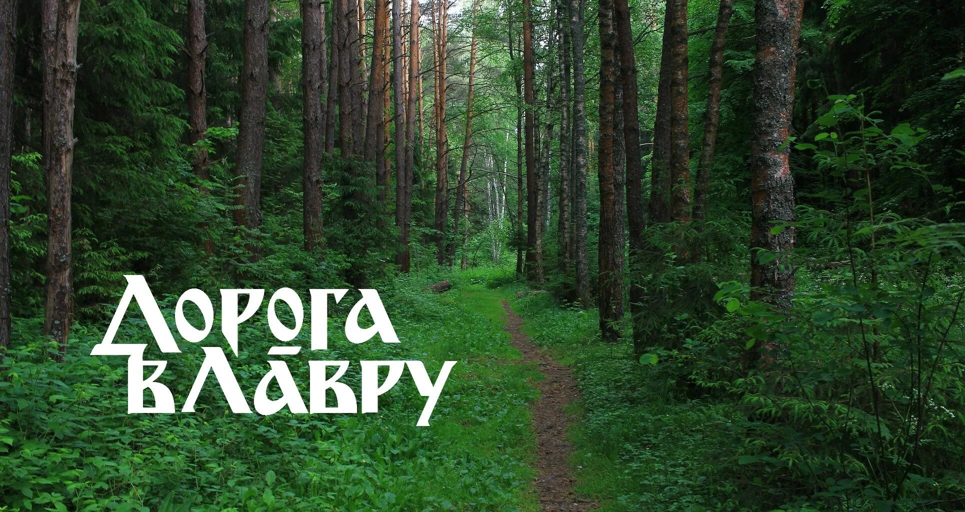 Дорога в лавру тропа пешеходная. Дорога в лавру. Дорога в лавру тропа. Тропа паломническая в лавру. Дорога в лавру тропа пешеходная.