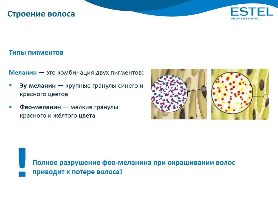 Строение пигментов. Строение волоса пигмент. Строение волоса меланин. Структура волоса пигментная. Структура волоса кератин.