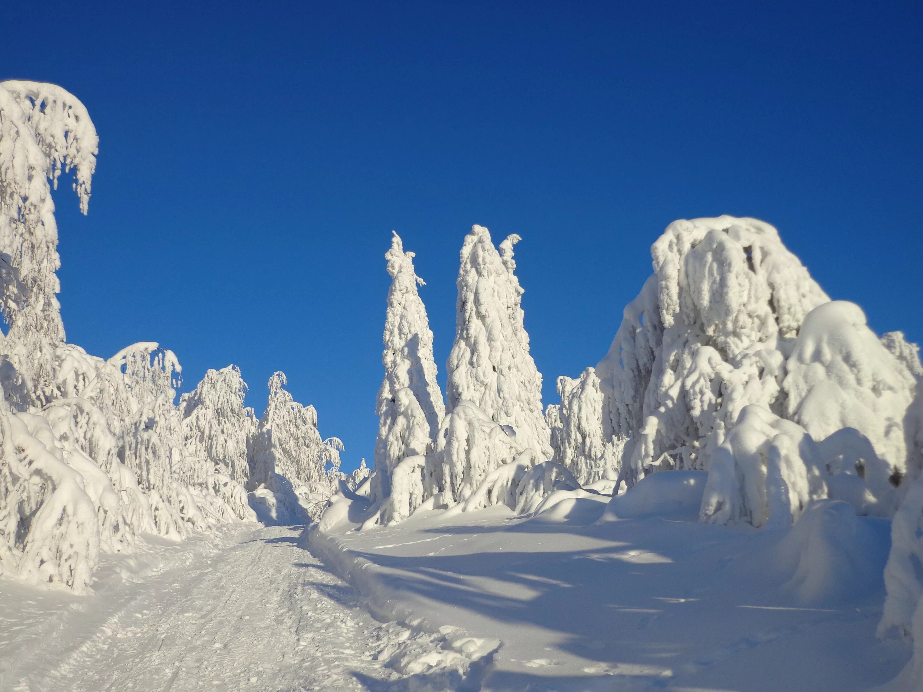 самая низкая температура в пермском крае. самая низкая температура в пермском крае. усть-черная пермский край на карте. самая низкая температура в пермском крае. самая низкая температура в пермском крае.