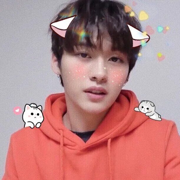 Коты минхо из стрей. Минхо stray kids. мин хо из stray kids. ли ноу минхо. ли минхо из stray kids.