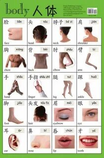 Как переводится facing