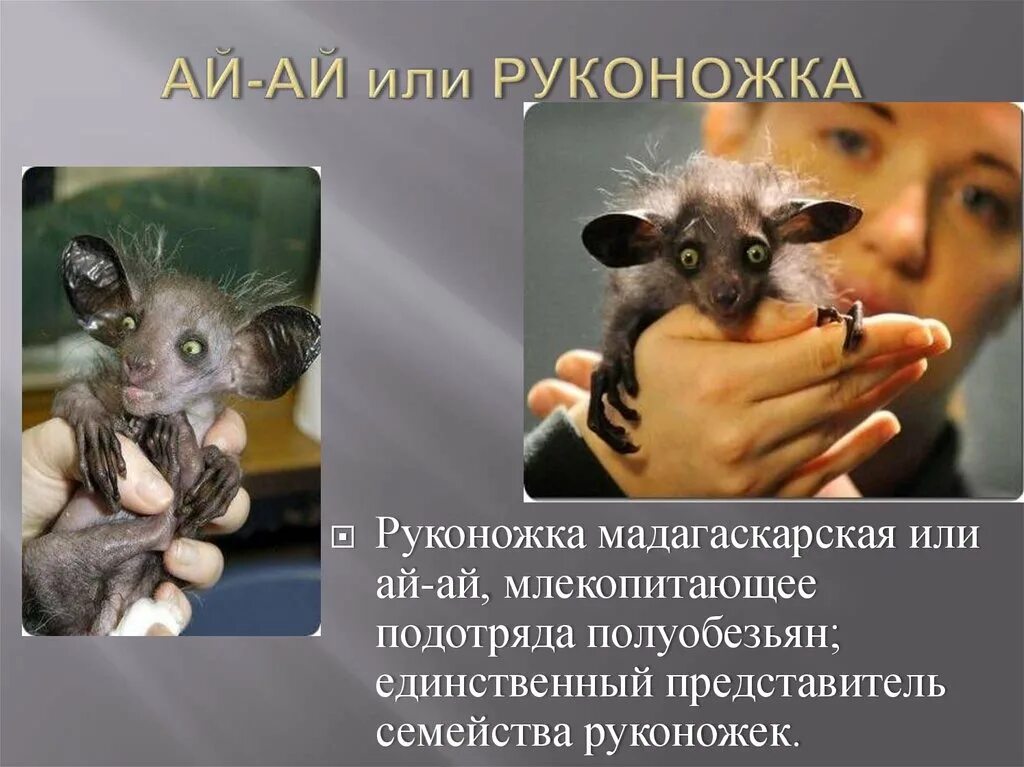 Аи по описанию