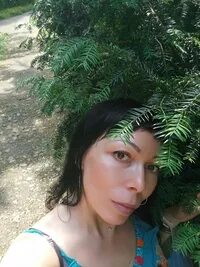 Феникс мурманск