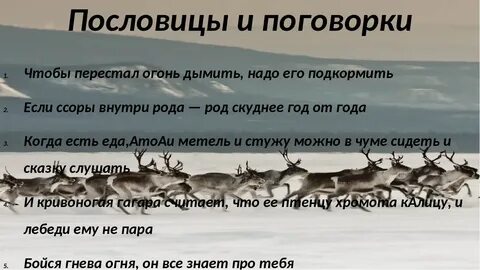 Из языка какого народа пришло слово тундра
